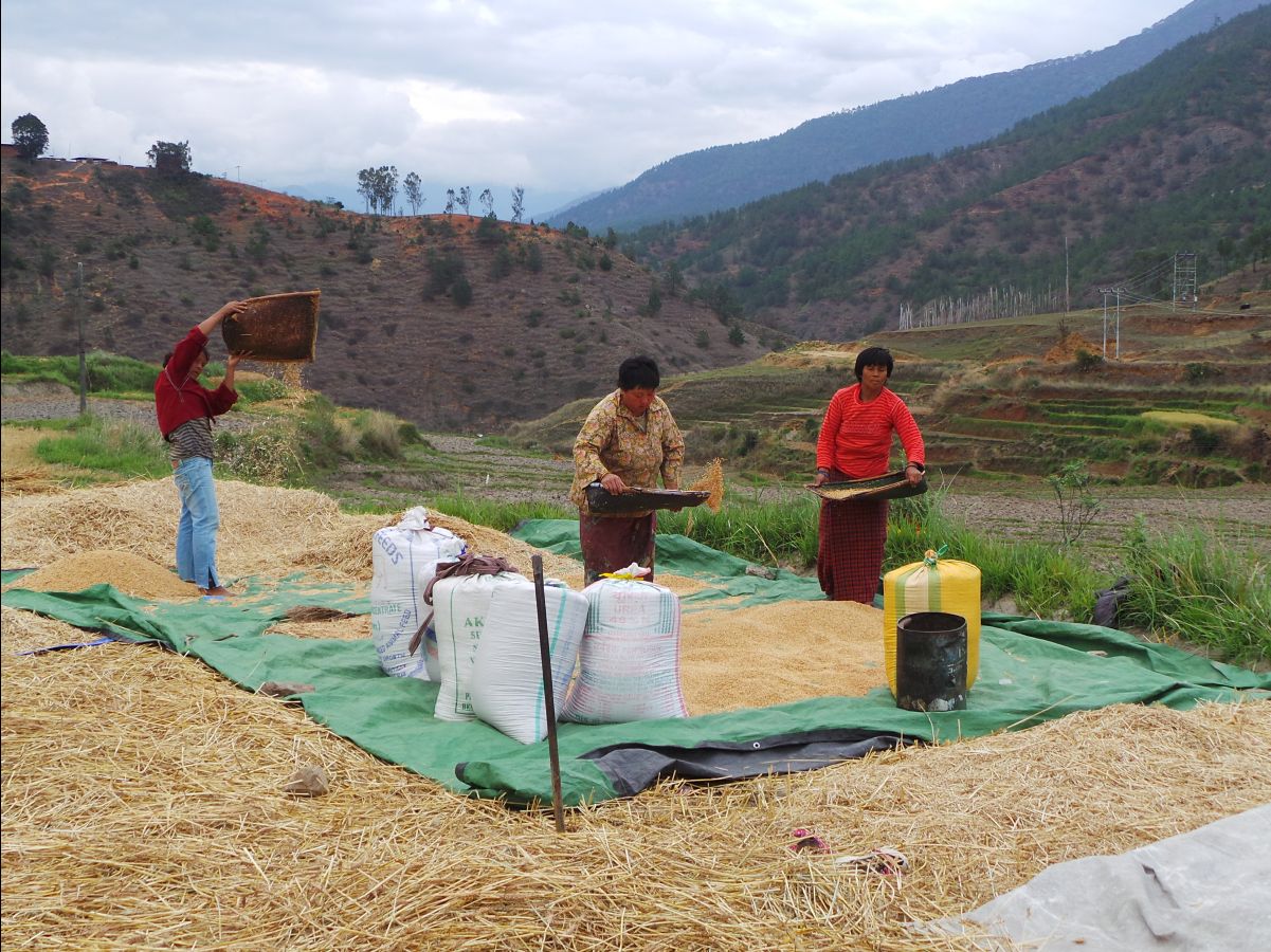 Chemi Lhakang Temple - on the way18